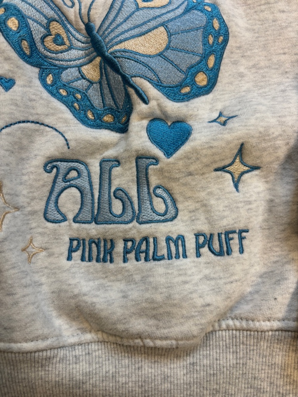 Pink Palm Puff “To Live for the Hope of It All” hoodie - gray/blue - size XXS - Picture 4 of 5